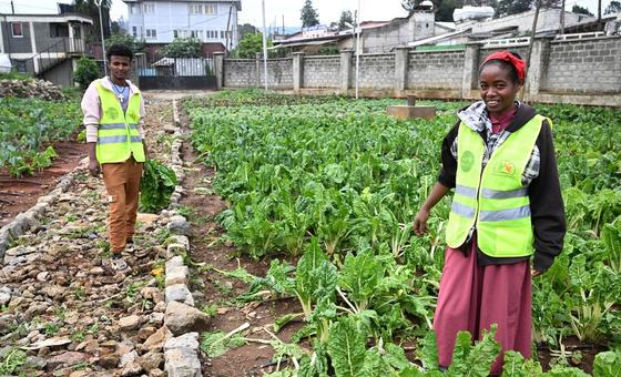Two young people take part in an urban farming initiative in Addis Ababa, Ethiopia, aimed at providing affordable, nutritious food to local children and adolescents.